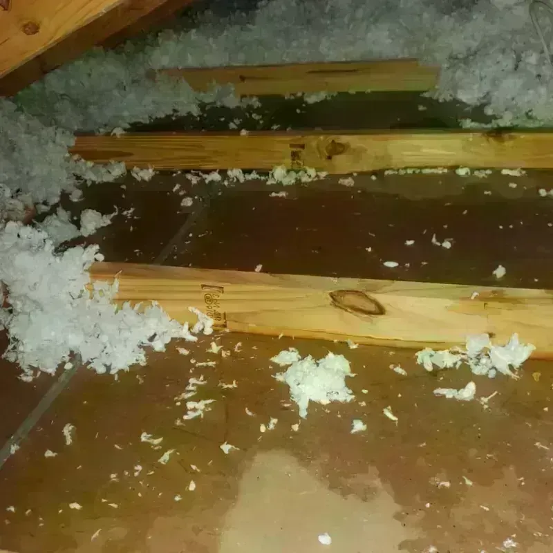 Attic Water Damage in Redwood Falls, MN